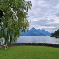 Seebad Buochs - Buochs