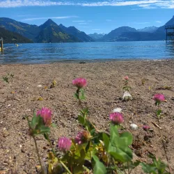 Seebad Buochs - Buochs