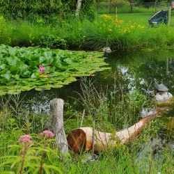 Swiss Path (Weg der Schweiz) - Buochs