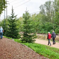 Parco delle Rimembranze - Chiasso