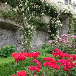 Burgruine Haldenstein (Haldenstein Castle Ruins) - Chur