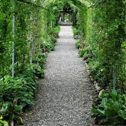 Burgruine Haldenstein (Haldenstein Castle Ruins) - Chur