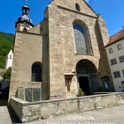 Cathedral of Saint Mary of the Assumption (Chur Cathedral) - Chur