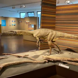 Naturmuseum Graubünden - Chur