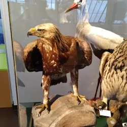 Naturmuseum Graubünden - Chur