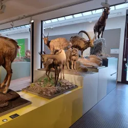 Naturmuseum Graubünden - Chur