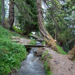 Hiking Trails of Crans-Montana - Crans-Montana