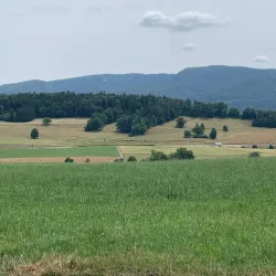 Delémont Old Town - Delemont