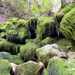 Fort de Saint-Imer - Delemont