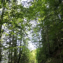 Fort de Saint-Imer - Delemont