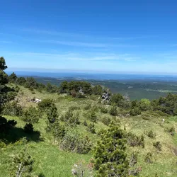 Jura Mountains Hiking Trails - Delemont