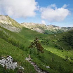 Jura Mountains Hiking Trails - Delemont
