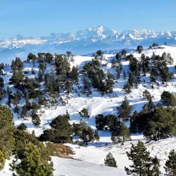 Jura Mountains Hiking Trails - Delemont