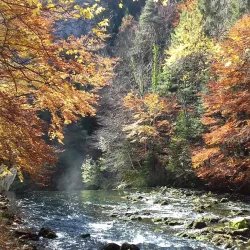 La Maison de la Nature du Jura - Delemont