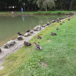Parc des Bains - Delemont