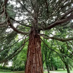 Parc des Bains - Delemont