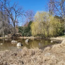 Park im Grüene - Dietikon