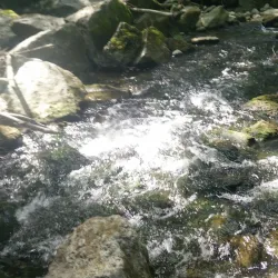 Schützenhaus Dietikon - Dietikon