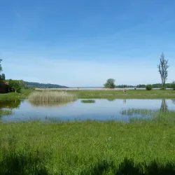 Greifensee Lake - Dubendorf