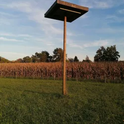 Hegnau Nature Reserve - Dubendorf