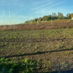 Seebach Park - Dubendorf