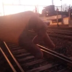 Seebach Park - Dubendorf