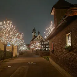 A picturesque scene in Ebikon