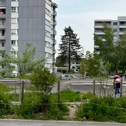 Ebikon Local Park (Gemeindepark Ebikon) - Ebikon