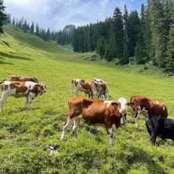 Würzenbach Nature Trail - Ebikon