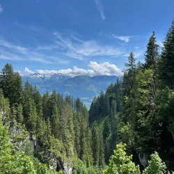 Würzenbach Nature Trail - Ebikon