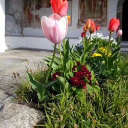 Church of San Siro - Faido