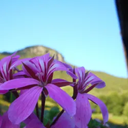 Valle Leventina Hiking Trails - Faido