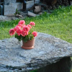 Valle Leventina Hiking Trails - Faido