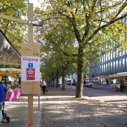 Frauenfeld Market - Frauenfeld