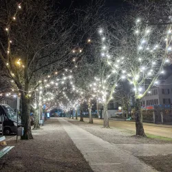 Frauenfeld Market - Frauenfeld