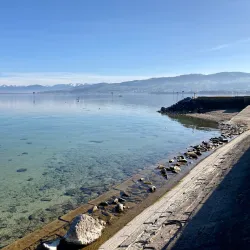 Schlosswiese Park - Frauenfeld