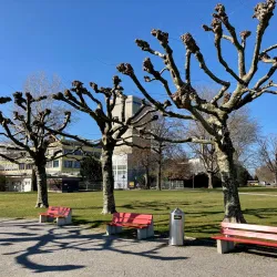 Schlosswiese Park - Frauenfeld