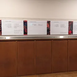 Stadtkirche Frauenfeld - Frauenfeld