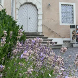 Thurgau Art Museum - Frauenfeld