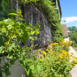 Thurgau Art Museum - Frauenfeld