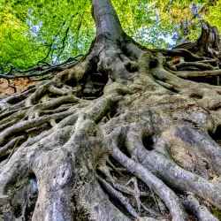 Wildpark Peter and Paul - Frauenfeld