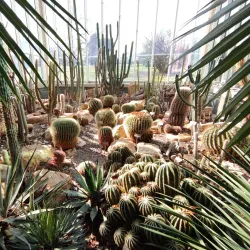 Botanical Gardens (Jardin Botanique) - Geneva