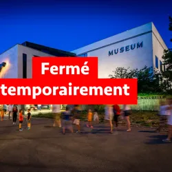 Museum of Natural History - Geneva