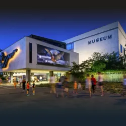 Museum of Natural History - Geneva