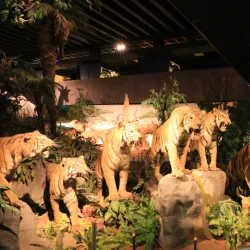 Museum of Natural History - Geneva