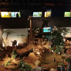 Museum of Natural History - Geneva