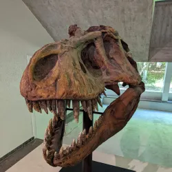 Museum of Natural History - Geneva