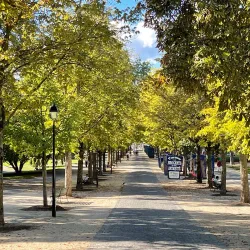 Parc des Bastions - Geneva