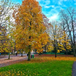 Parc des Bastions - Geneva