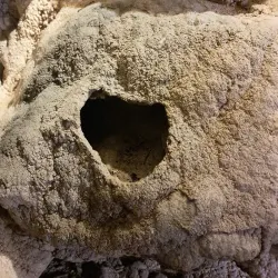 Grotte di Rescia - Giubiasco